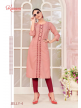 Straight With Work Pattern Long Kurti