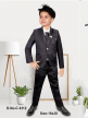 Branded Boys Party Wear Suits