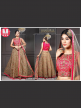 Designer Embroidered Party Wear Lehenga 