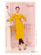 Women Embroidered Straight KurtI jelly