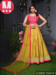 Designer Lehenga With Fancy Dupatta