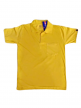 Branded Online T -shirts for Men