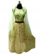 Branded Georget Women Lehenga